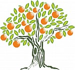 Catedral Sevilla para niños y familias